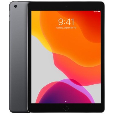 Apple iPad 7th Gen 2019 10.2'' 32GB Wi-Fi + Cellular Usato Grado A Grey