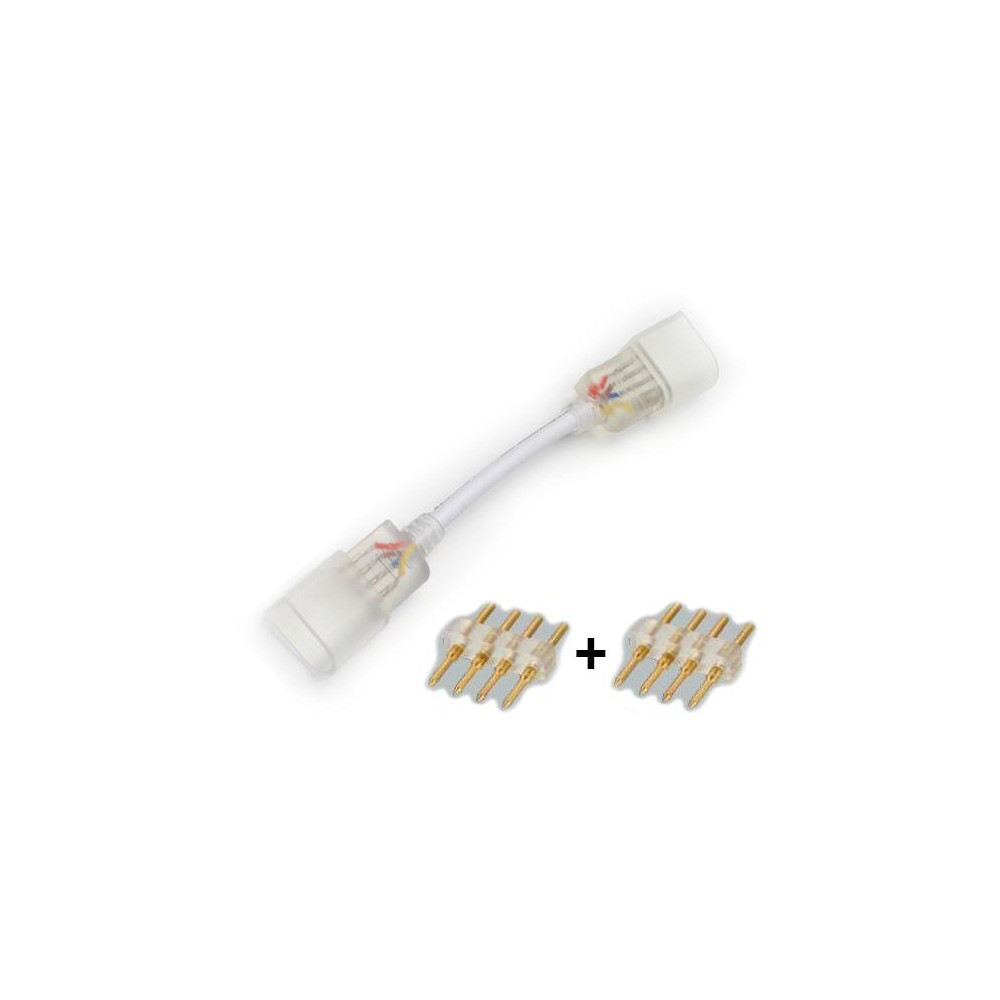 10x - 1 Connettore + 2 Pins per striscie colore RGB