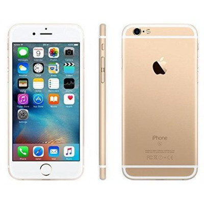 iPhone 6S Plus 64gb Usato GA Garanzia 1 anno Gold