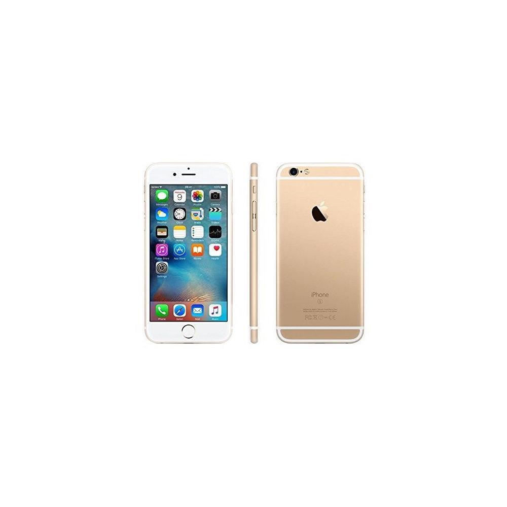 iPhone 6S Plus 64gb Usato GA Garanzia 1 anno Gold