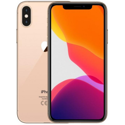 iPhone XS 64Gb Usato Grado A Garanzia 1 anno Gold